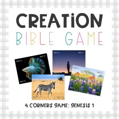 Days of Creation Game 4 Corners