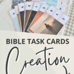 Days of Creation Bible Task Cards Pin