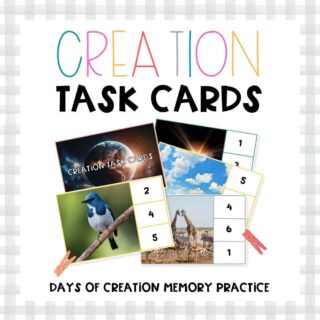 Days of Creation Bible Task Cards Thumbnail