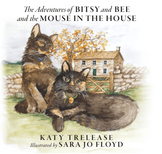 The Adventures of Bitsy and Bee and the Mouse in the House